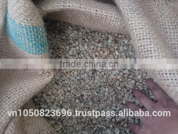 VIETNAM COFFEE BEANS HIGH QUALITY- Vilaconic.export15(@)gmail.com photo-6