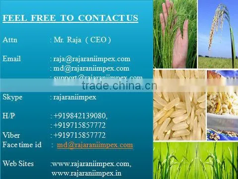 Basmati rice exporter, Indian star basmati rice, India longest basmati rice, Basmati rice grade, Whole supersella basmati rice,