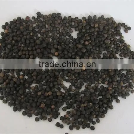 Malabar Spinach Seeds Vegetable Seeds for Planting photo-2