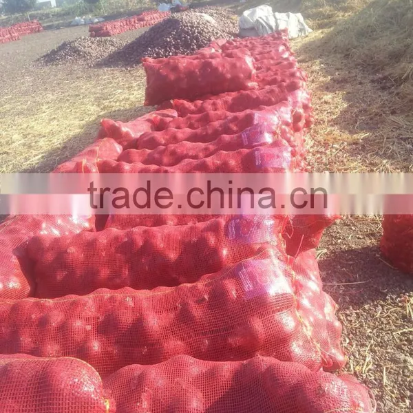 Fresh Onion Supplier photo-4