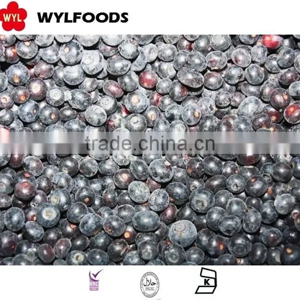 IQF Frozen Blueberry High Quality Hot Sales photo-3