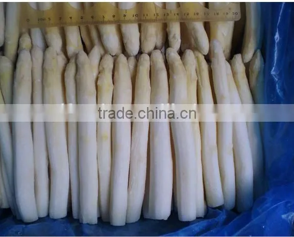 Frozen IQF White Asparagus,Grade A photo-3