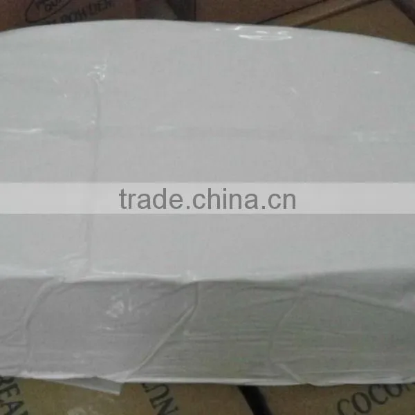Coconut Cream Powder 65% +/- 5% in 15kgs Carton Box With Inner Plastic Liner