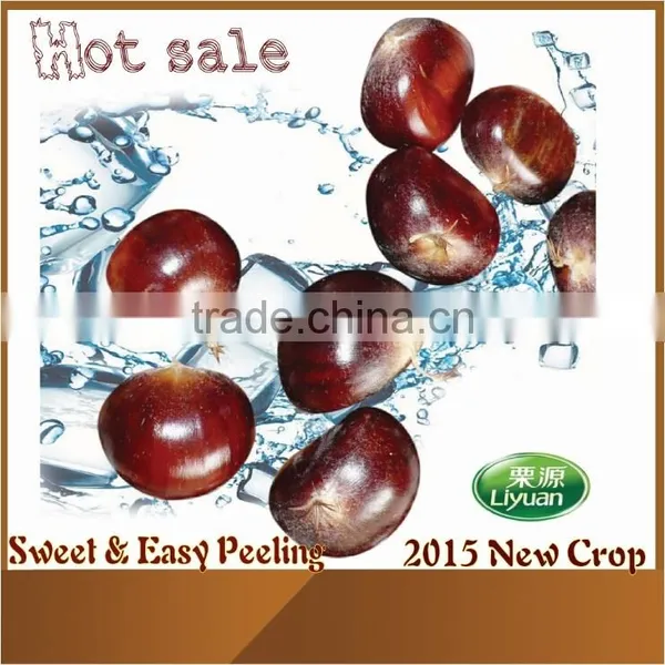 2015 New Raw Fresh Chestnuts
