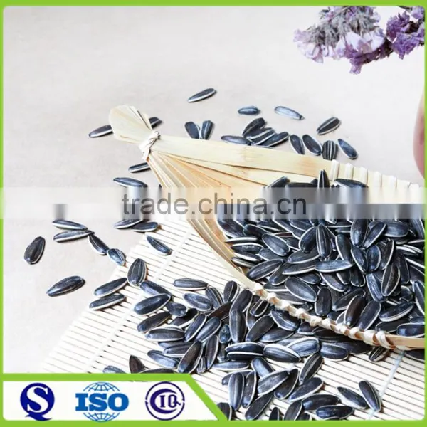 Price of Chinese 2016 Crop Import Sunflower Seeds
