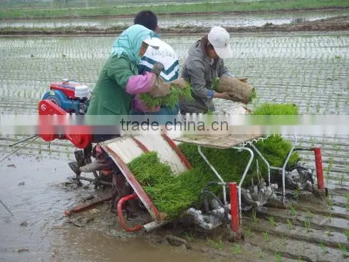 Mechanical Rice Seeder photo-3