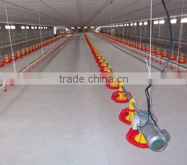 Newly-developed Farm Automatic Chicken Feeding System photo-2