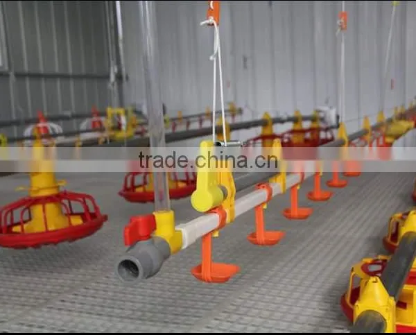 Automatic Farm Chicken Poultry Equipment/poultry Farm Equipment photo-4