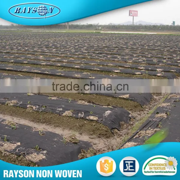 Hot Products Non-Woven Agriculture Black Plastic Mulch Film photo-3