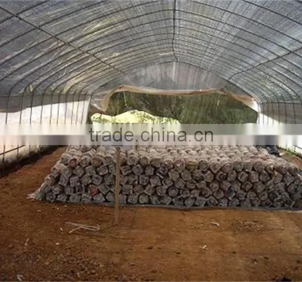 Galvanized Steel Pipes Greenhouse Structure With Hydroponic System photo-6