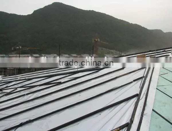Kingway High Quality Waterproofing Membrane photo-3
