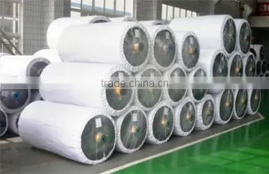 Nylon-6 Dipped Tyre Cord Fabric photo-3