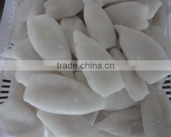 Frozen Squid(loligo Squid,frozen Fish) photo-2