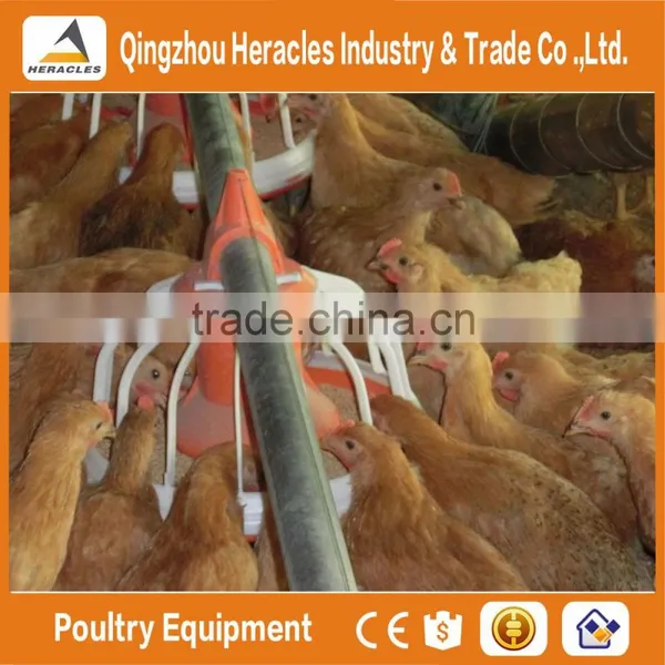 Automatic Broiler Poultry Farm Feeding and Drinking Systems & Chicken Poultry Farm Equipment photo-6