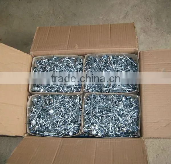Nigeria Market 7Ibs 8boxes Package High Quality Umbrella Roofing Nails photo-3