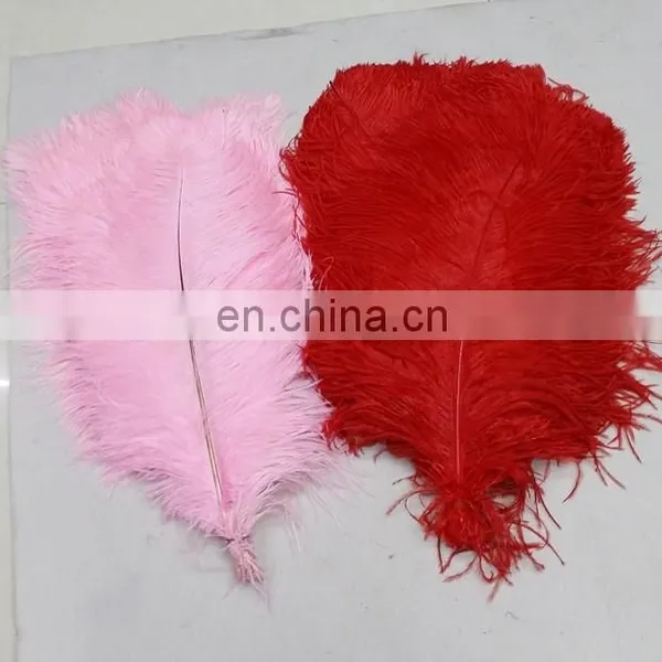 Wholesale South Africa Ostrich Feathers for Decoration Wedding Ostrich Feathers photo-4