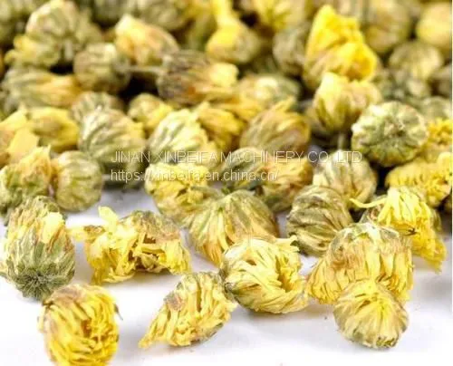 Efficient Chrysanthemum Drying Equipment photo-4