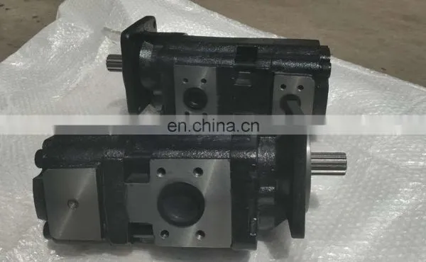 Sichuan Changjiang Hydraulic Pump Gpc4a-63/2020-218r Double Gear Pump Gpc40-50/20-a3r Oil Pump photo-5