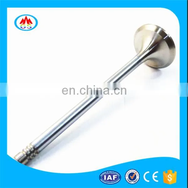 Super Truck Spare Parts Best Price Steel Custom Engine Valves for Daf xf 106 510 Ftt 105 photo-7