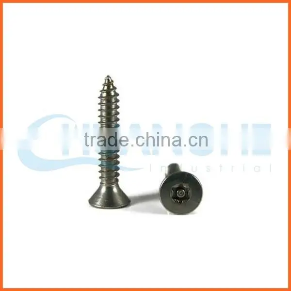 China Supplier Stainless Steel Torx Anti-theft Screws photo-5