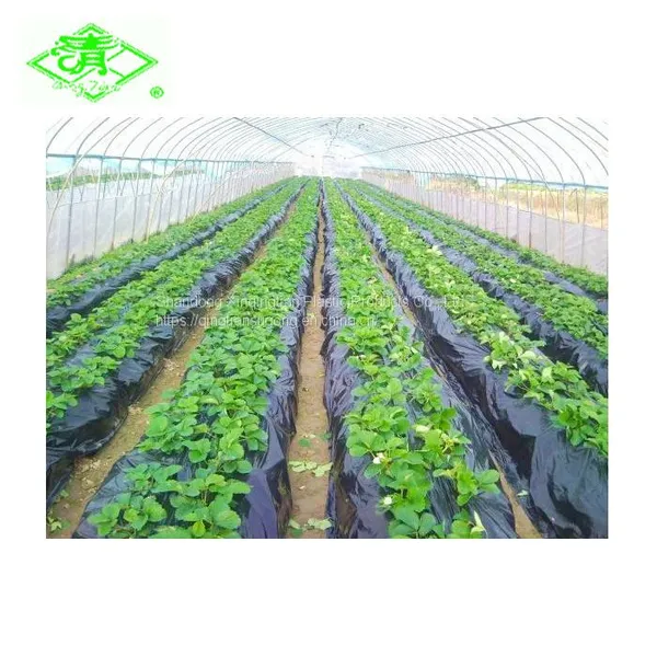 High Quality Agricultural Plastic Mulching Film Roll for Potatoes