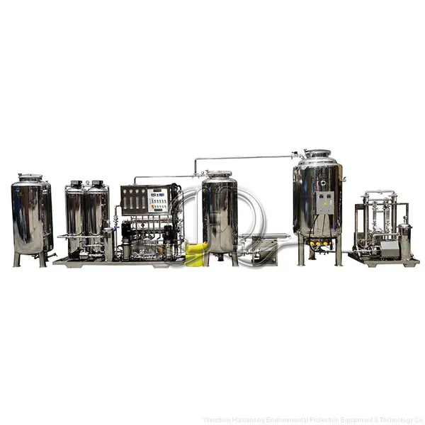 Customized Injection Water Automatic Two-stage Reverse Osmosis Water Purification Equipment Ro Water System With Sterile Heater photo-4