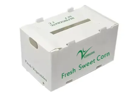 Waterproof Corrugated Plastic Produce Boxes Wholesaler From China photo-4