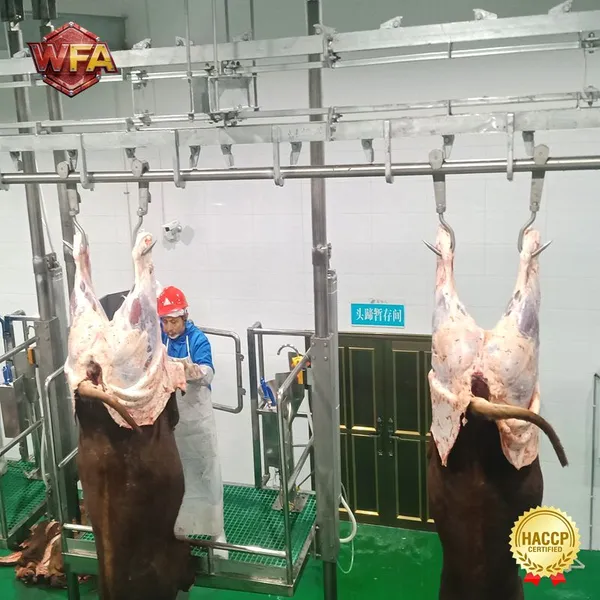 Cow Slaughterhouse Equipment Cattle Slaughter Line Machine Beef Abattoir Processing Machinery