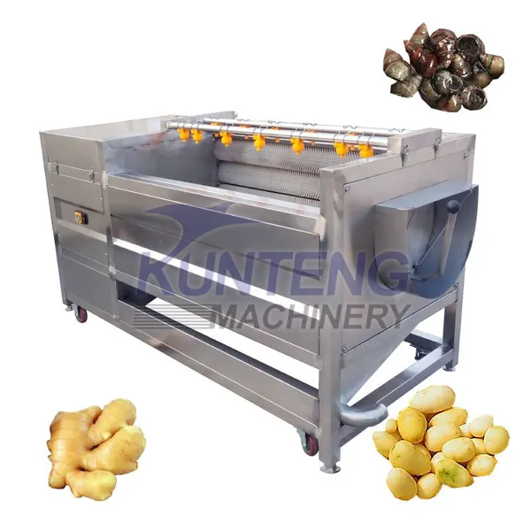 Commercial Vegetable Washer Mussel Cleaning Machine Ginger Carrot Sweet Potato Radish Washing Peeling Machine in Pakistan EPC
