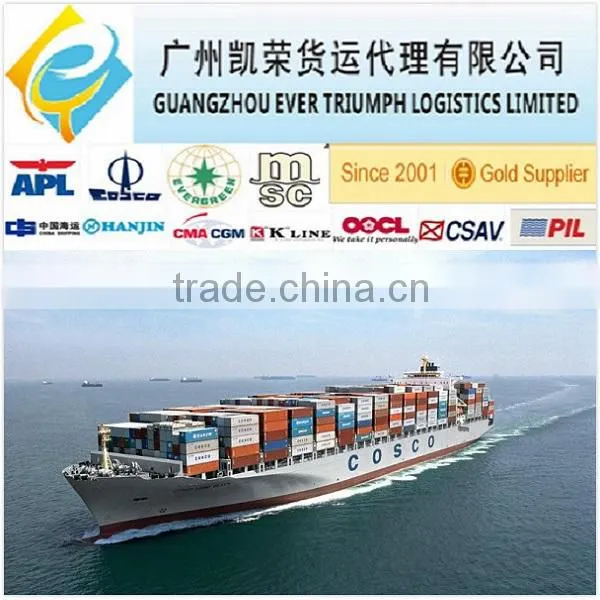 Freight Forwarder Shipping Company From China to Spain photo-2