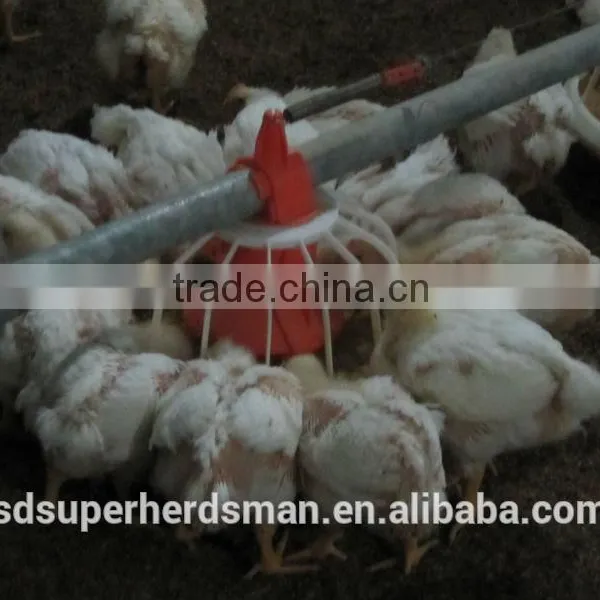 Poultry Keeping Equipment photo-5