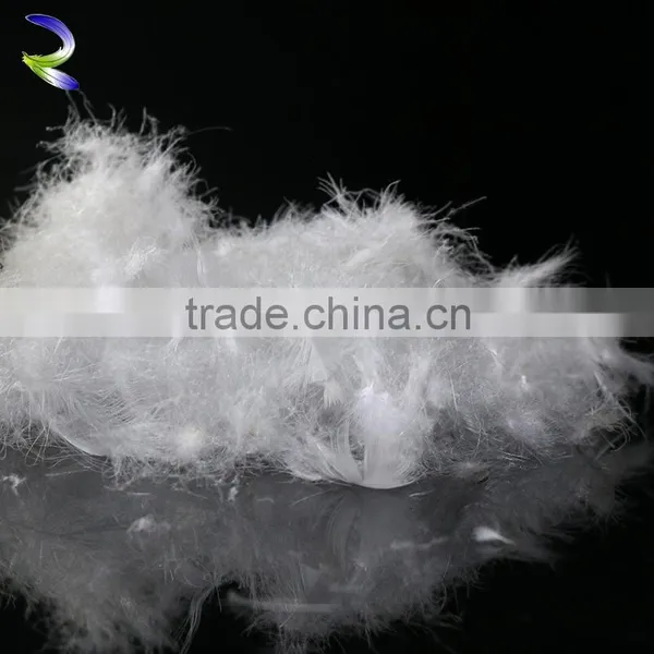 Hot Sale duck feather white duck feather