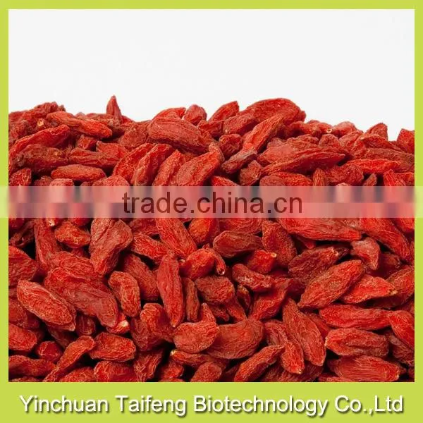 FDA Registered Organic Dried Wolfberry Ningxia Dried Wolfberry Wholesale for Lowering Blood Pressure