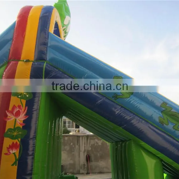 Lanqu Water Double Lane Frog Inflatable Slide for Lake photo-2