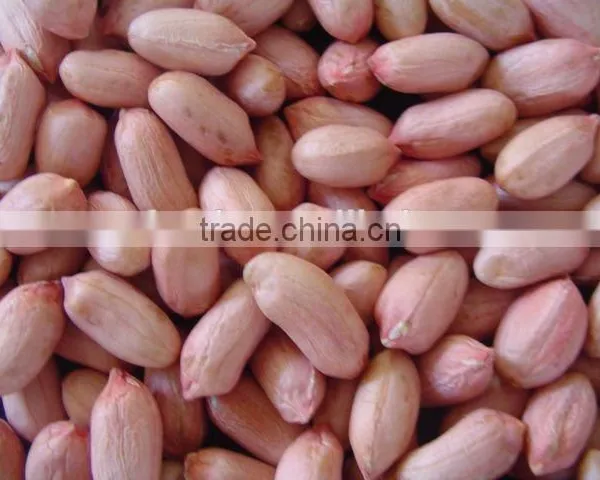 Raw Peanuts Kernel From China photo-5