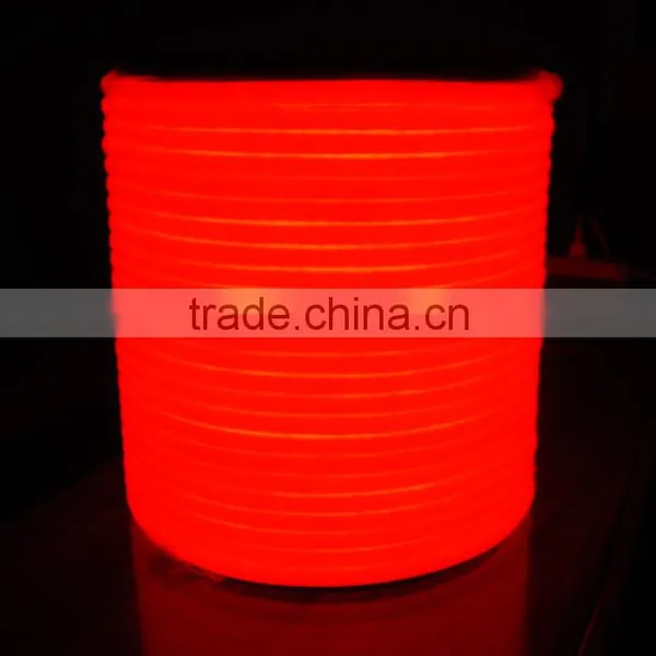 Any Color Avialable Emitting Color PVC Blue 360 Degree Led Neon Flex photo-4