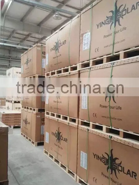 300W Solar Modules YINGLI Poly Solar Panel 300W Stock photo-4