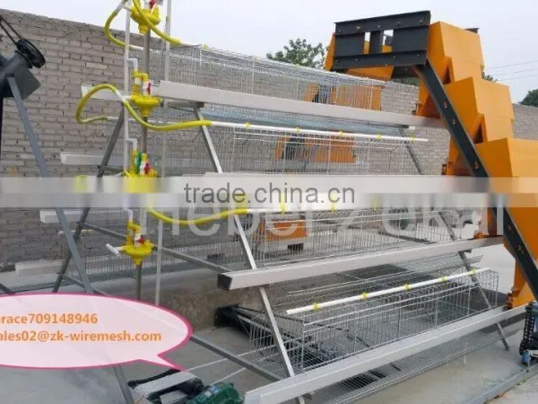 Chicken Cage for Sale photo-6