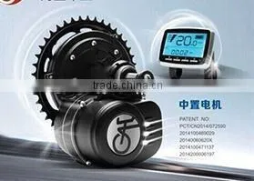 TS Central Motor Kits 36V 250W for