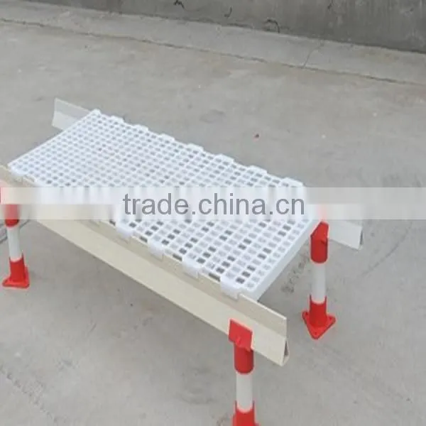 Poultry Farm Chicken&duck Clean Plastic Flooring