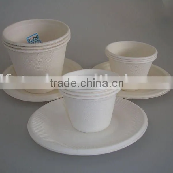 Biodegradable Cutlery