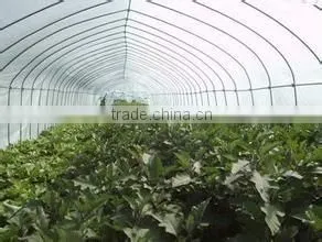 Greenhouse Film/greenhouse Film/ Agriculture Greenhouse 3 Layer Film/different Specification/function Film