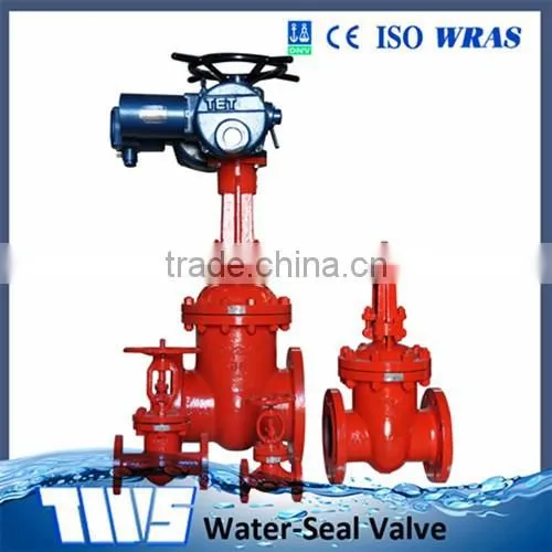 Rising Gate Valve photo-4