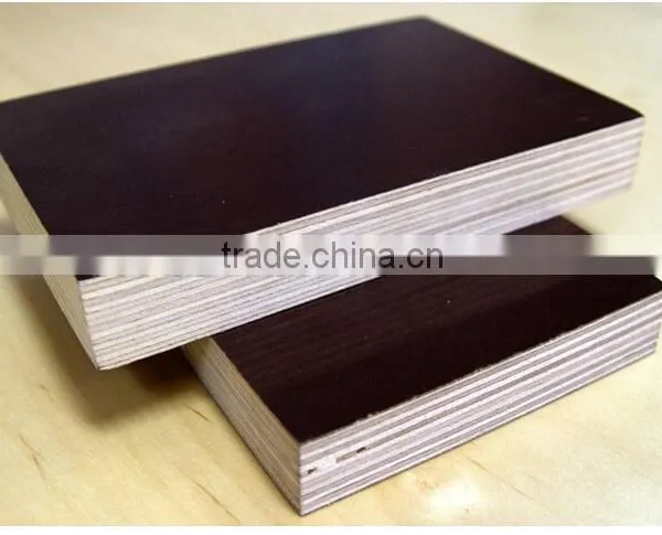 China Plywood Factory & Film Faced Concrete Form Plywood for Dubai Market photo-4
