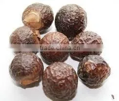 Soapnut/ Selling In Chennai/Tamilnadu/India