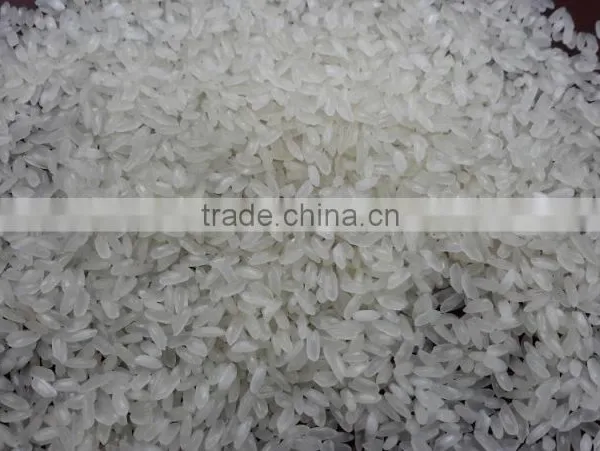 Medium Rice (skype: Davis.thong, Phone: +84 986 778 999) photo-2