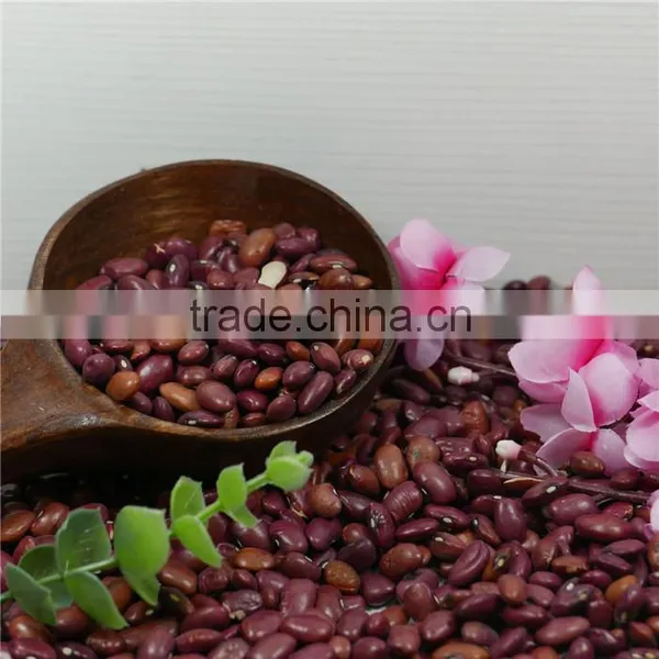 Small Red Kidney Bean 2016 Crop Good Price High Quality photo-2