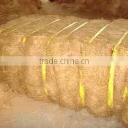 Coir Fiber