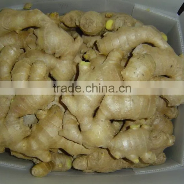 Chinese Organic Air Dried Ginger photo-5