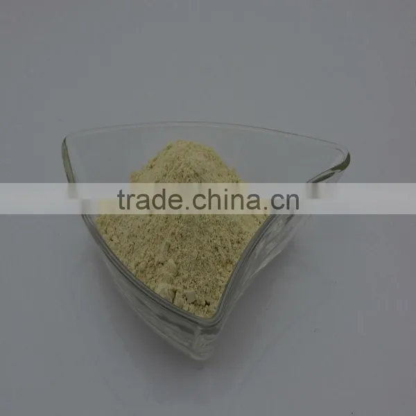 Dehydrated Garlic Powder